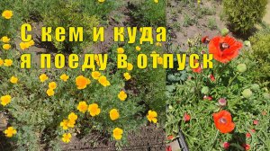КУДА И С КЕМ Я ЕДУ В ОТПУСК / ГОТОВИМСЯ В ДОРОГУ / с 01 по 03 мая 2026