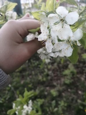 Моё первое видит это стрим😱😱😱
