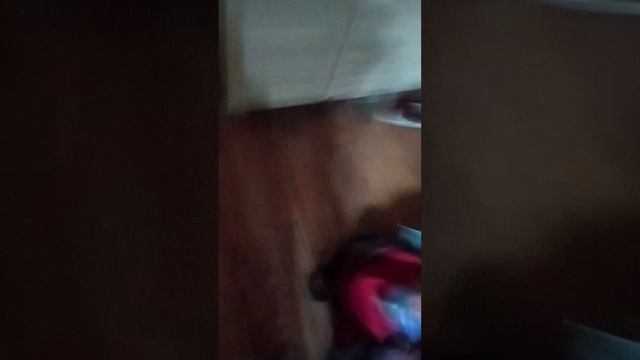 Пранк над братом