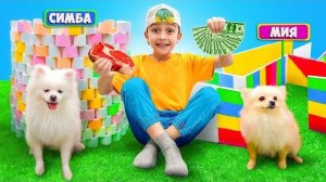 Марк играет с собачками - Доброе видео для детей про животных учит заботе и любви