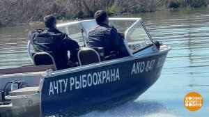 Рыба - на нерест, браконьеры - за рыбой? Доброе утро. Фрагмент выпуска от 12.05.2026