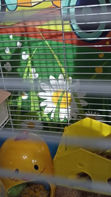 602.mp4 смотреть онлайн