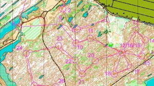 Спортивное ориентирование, Хорлово, 11.05.2026, М35,18
