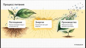 Окружающий мир 3 класс Солнце, растения и мы с вами
