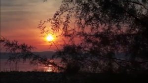 Калина красная - стихи и музыка - Виктор Михнев + suno