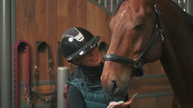 Конноспортивный комплекс «Emerald Stables»