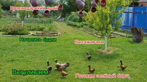 12-05-2026/Краснодарский край//Мечты сбываются!!!//Готовим обед//Обработка//Высадка//Выгул//Будни//