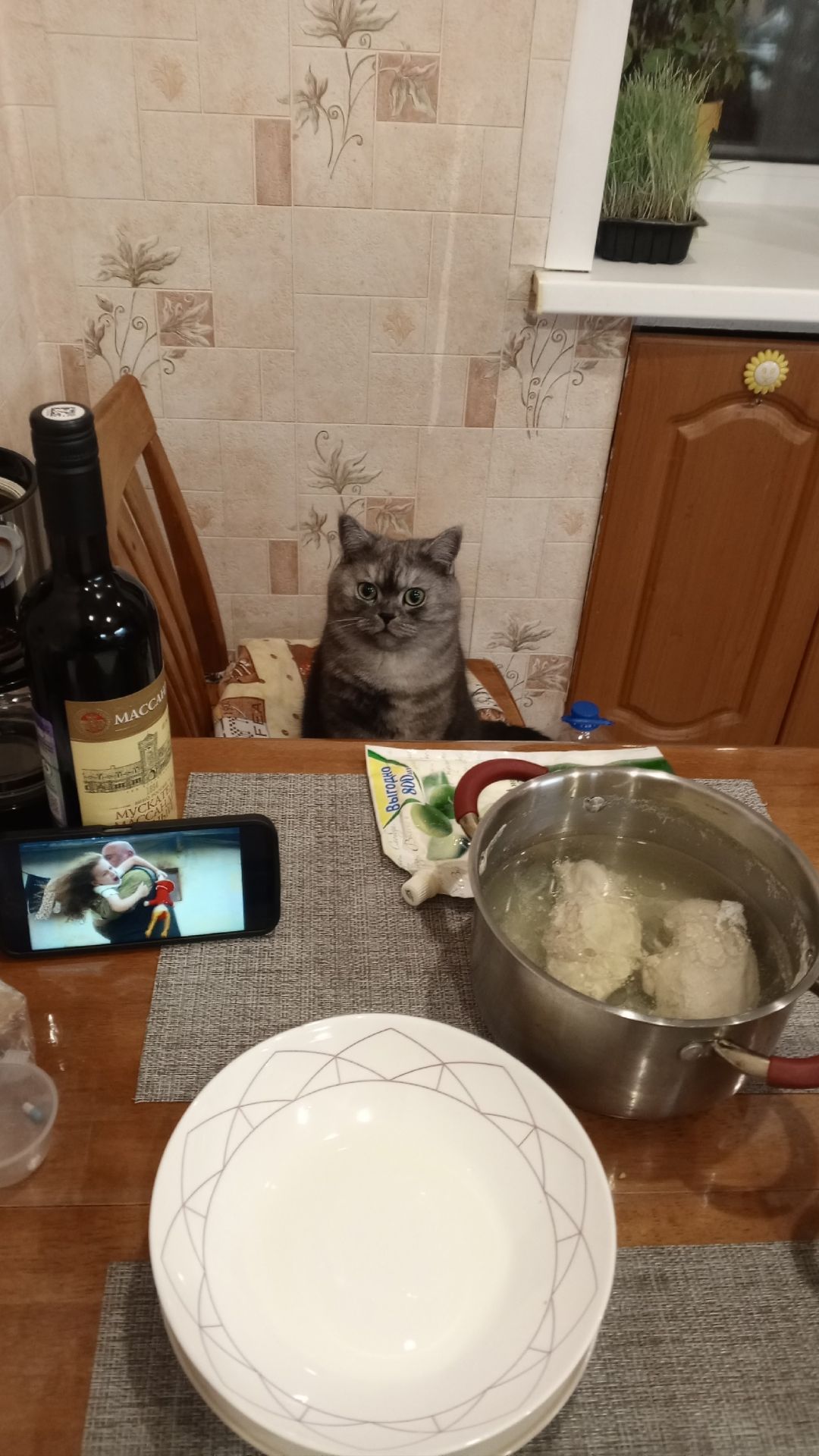 Элитный корм. «Сам его ешь» 🐾