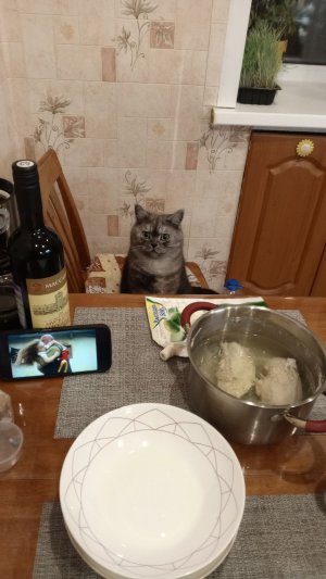 Элитный корм. «Сам его ешь» 🐾