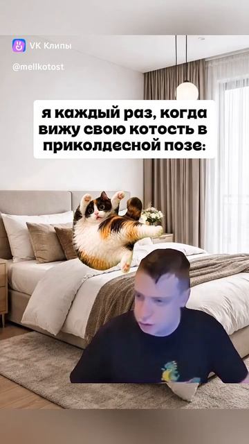 Котость