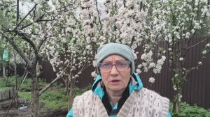 11-05-26.Жизнь на пенсии в Деревне.Хроника дня