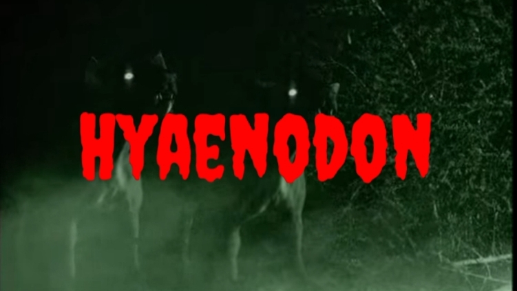 Except the for One a Hyaenodo of Video! смотреть онлайн