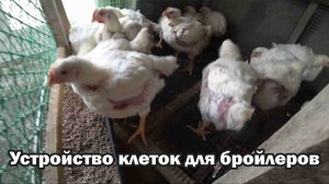 Клетки для бройлеров из доступных материалов
