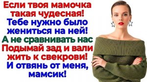 Истории из жизни|Я вышвырнула мамсика из|Аудио рассказы|Аудиокниги слушать онлайн|Жизненные истории