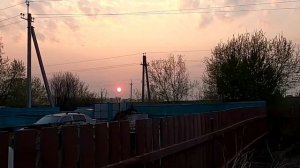 12 мая, вечер на моем участке.