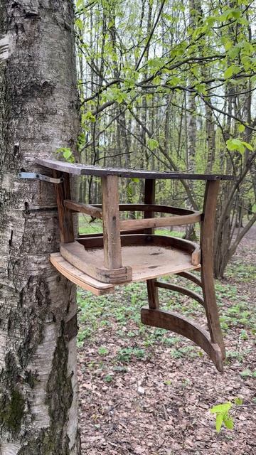 Кормушки для птиц вышли на новый уровень #кормушкадляптиц #лес #природа #находка #креатив