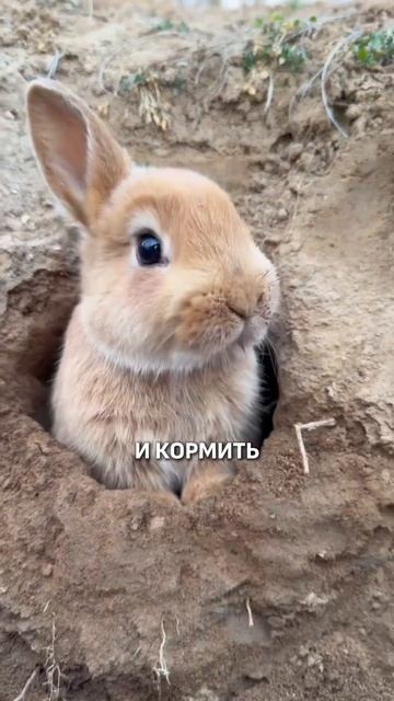 САМЫЙ МИЛЫЙ ОСТРОВ!
