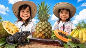 Твин Твин узнают о фруктах🍓🍏, животных🦊 и насекомых 🐜на природе!