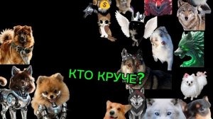 МЕГА БИТВА: МЕЖДУ ГИПЕР СТАЕЙ И ОГНЯ ЧАКА И ПЕРСИКА. ОГОНЬ ПРЕКРАЩАЙ ВОЙНУ!!