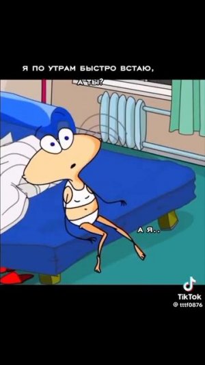 где мои тапушки...