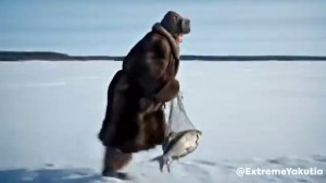 80 Летняя Вдова Живет Внутри Дерева И Спасается От Стаи Сибирских тигров.