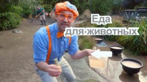 132. 🚗 Роботы на Колёсах 🤖 Игры для Детей   Блиппи на русском