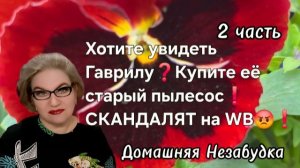 2 часть. Хотите увидеть Гаврилу❓️Купите её старый пылесос☝️❗️В бешенстве СКАНДАЛЯТ на WB😡❗️
