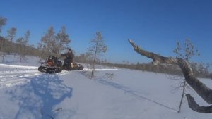 АРКТИЧЕСКИЙ ЛЕС! ГДЕ БЕРЁМ ДРОВА НА БАНЮ! ОПЕРАЦИЯ СУХОСТОЙ!