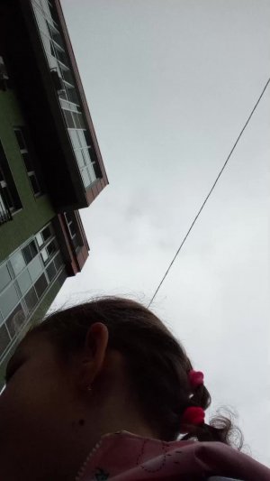 школа