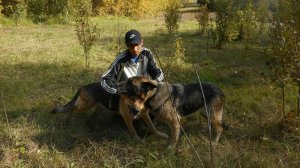 ДОРОГА ОДНА Душевный Русский Шансон в машину Жизненные песни
