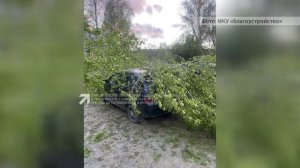 Коммунальщики оперативно ликвидировали последствия стихии, которая бушевала в выходные