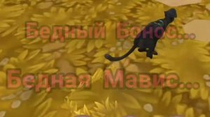 1000004888.mp4...