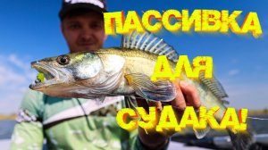 РАБОЧАЯ приманка для ловли СУДАКА на МИКРОДЖИГ 💪💪💪