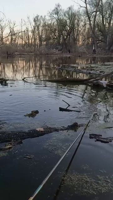Карасик на закате !