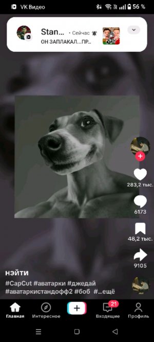 Наш стрим 2