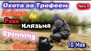 Рыбалка на р. Клязьма, Spinning с берега 10 мая 2026