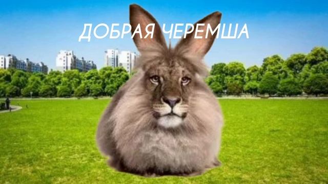 Черемша серия 4 финал
