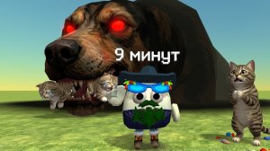 спаси котят