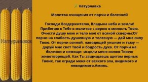 Молитва очищения от порчи и болезней