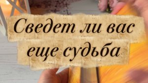 Сведет ли вас еще судьба 💐🫦❤️🔥Таро