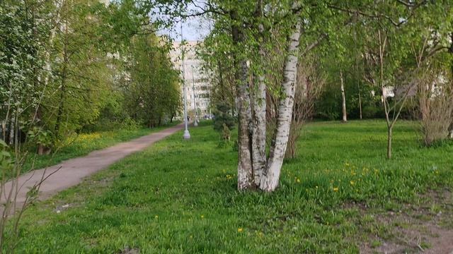 3387.mp4 смотреть онлайн