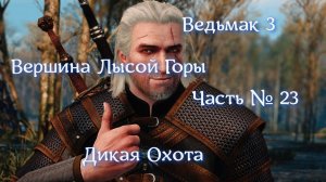 Ведьмак 3. Дикая Охота. Часть № 23. Отправляемся на вершину Лысой Горы
