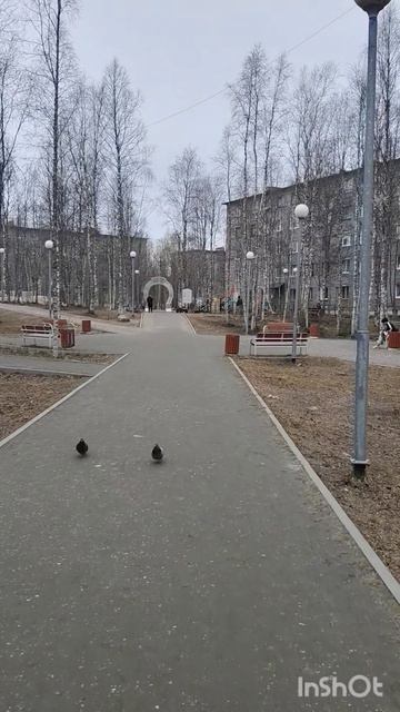 г.Ковдор 11-05-2026 сквер Детский