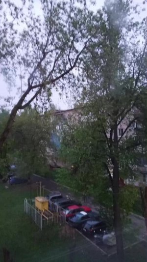 МУЗОН