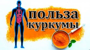Вот что с Вами станет, если вы будете есть по 1 ложке куркумы в день.