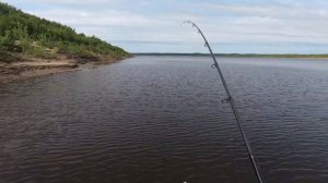 Рыбалка на реке. В погоне за щукой. Часть 2-я.