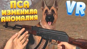 АНОМАЛИЯ УЛУЧШИЛА ПСА СТАЛКЕРА В ВР ( CONVRGENCE VR )