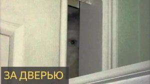 За дверью (Странная история)