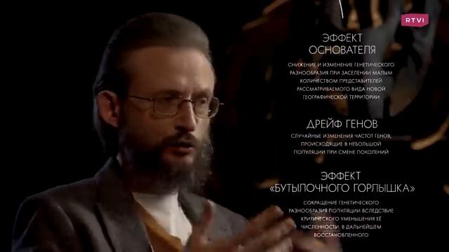 Светлая кожа узкое лицо и тонкие губы. Как появилась самая многочисленная раса. Дробышевский