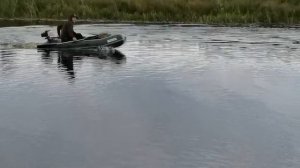 лодка лоцман 280 с мотором
